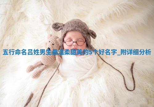 吕姓温柔甜美的男生名字