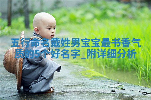 戴姓书香气质的男宝宝名字