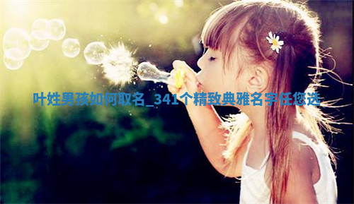 叶姓精致典雅的男孩名字