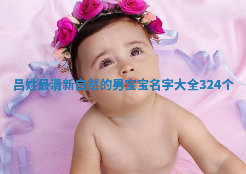 吕姓清新自然的男宝宝名字