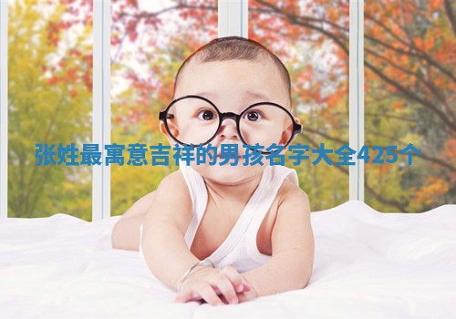 张姓寓意吉祥的男孩名字