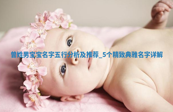 曾姓精致典雅的男宝宝名字