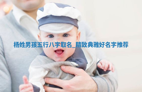 杨姓精致典雅的男孩名字