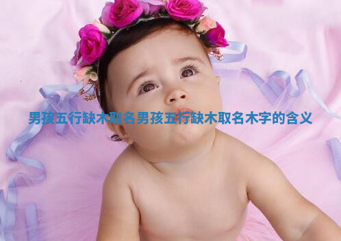 男孩五行缺木取名_男孩五行缺木取名木字的含义