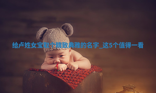 卢姓精致典雅的女宝名字