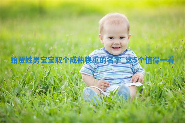 贾姓成熟稳重的男宝宝名字