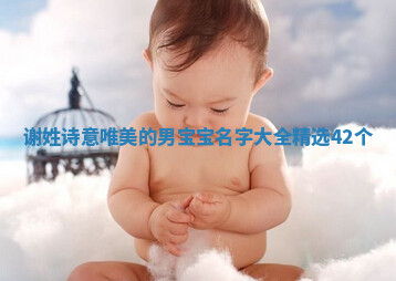 谢姓诗意唯美的男宝宝名字